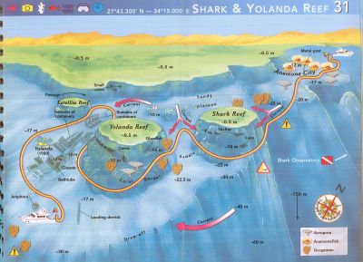 shark yolanda reef